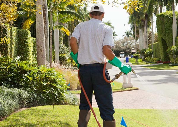 About West Medford MA Pest Control Pros